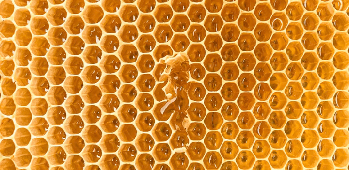 honeycomb-royal-jelly